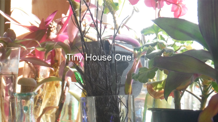 image: colorful windowsill